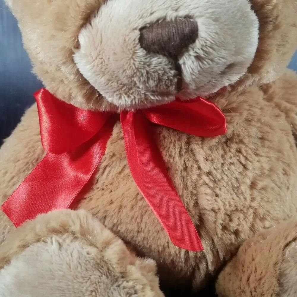Plush  SNUGGS the Bear 2008 14